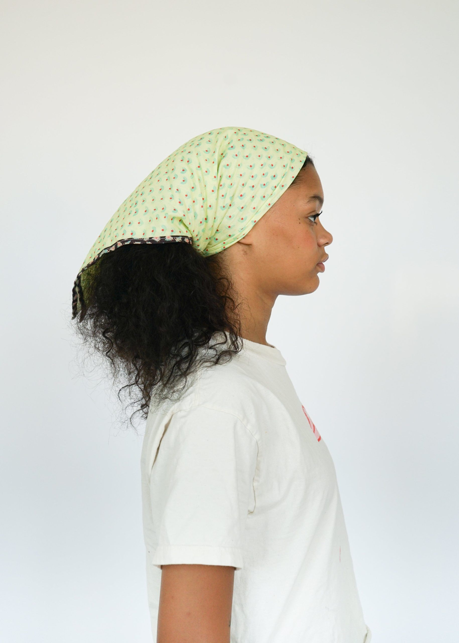 bandana americana 2
