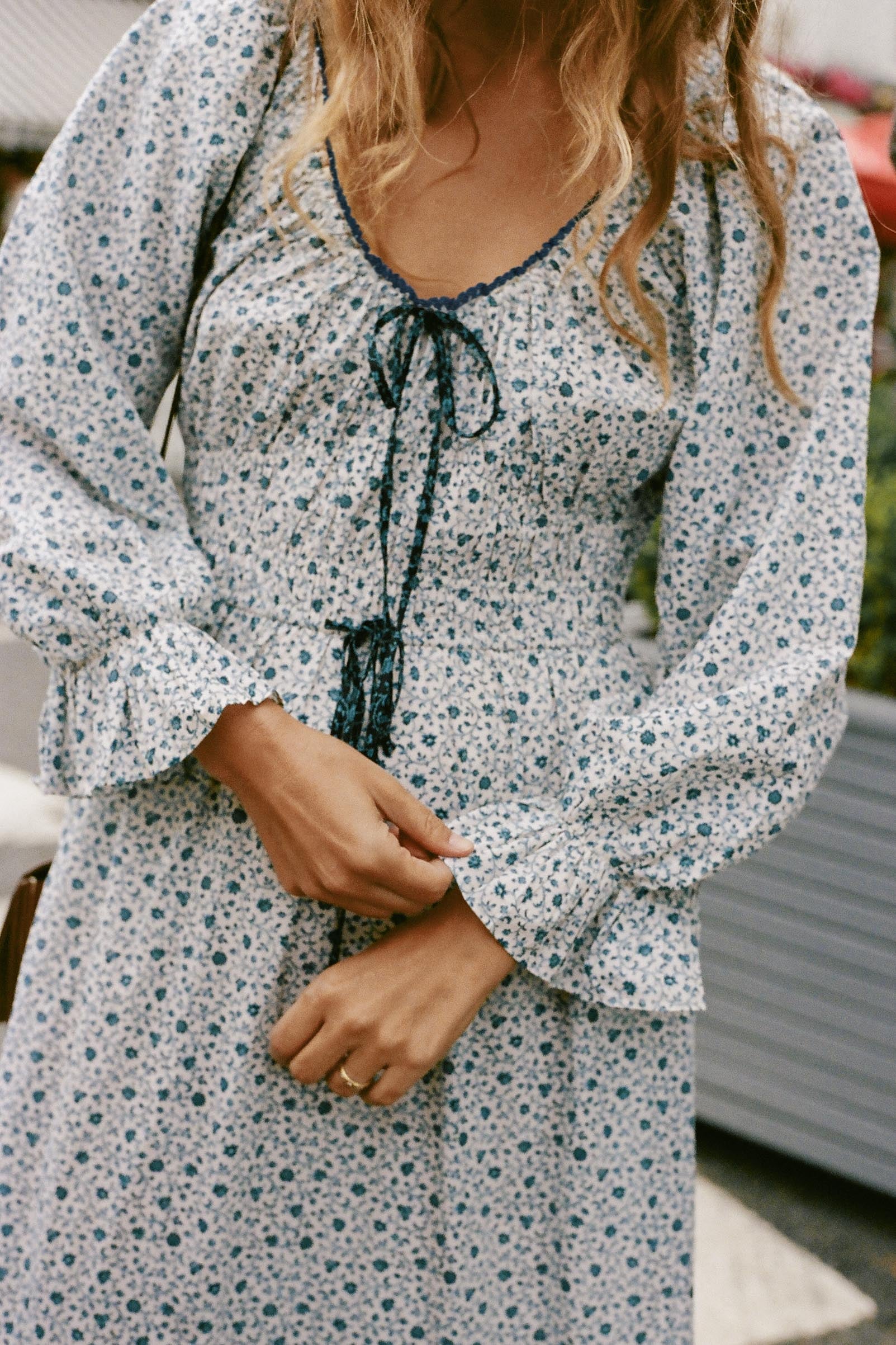 the raquel dress petites chrysanthemum vine 1