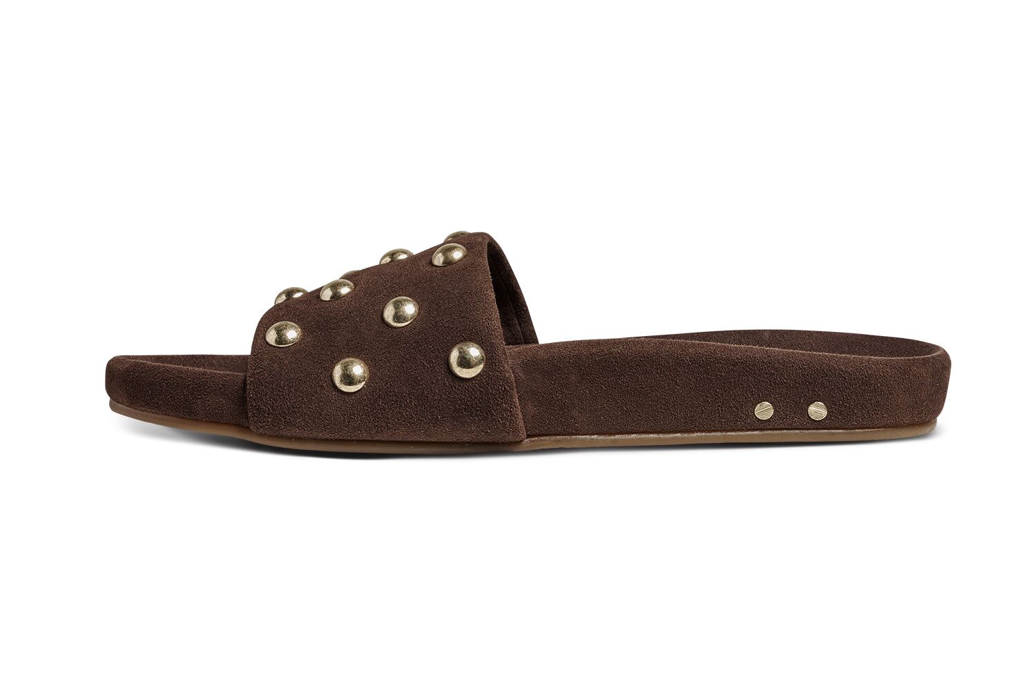 gallito stud coffee 3